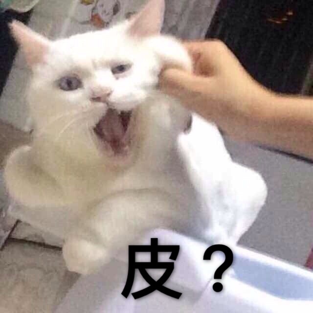 顽皮的小猫微信表情